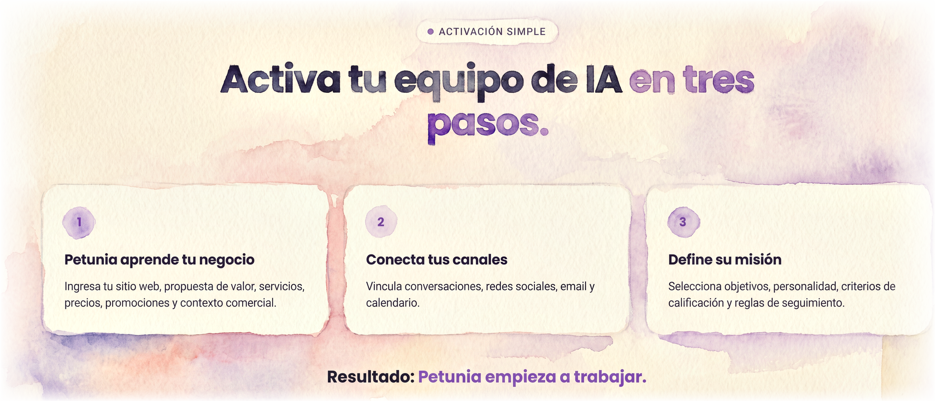 Activación simple: Petunia aprende tu negocio, conecta tus canales y define su misión.